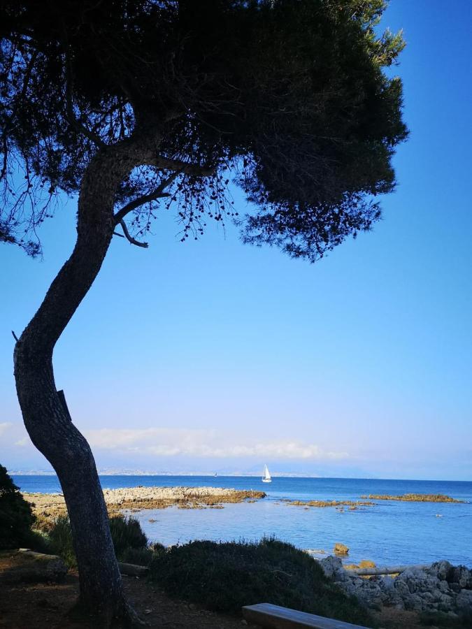 Apartamento Palme D'Or Cannes Exterior foto